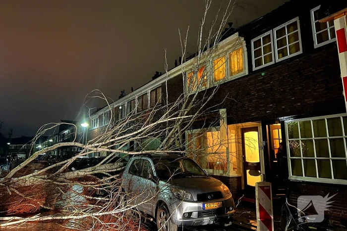 Boom valt op geparkeerde auto door sterke wind