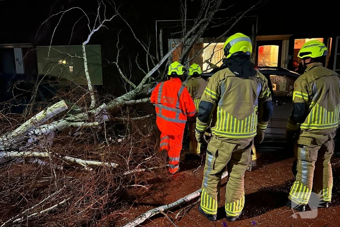 Boom valt op geparkeerde auto door sterke wind