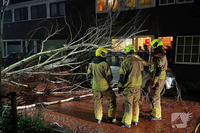 Boom valt op geparkeerde auto door sterke wind
