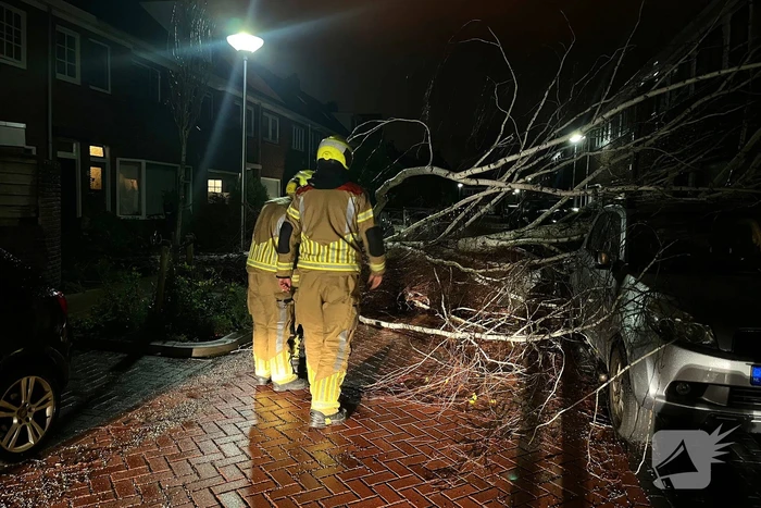 Boom valt op geparkeerde auto door sterke wind