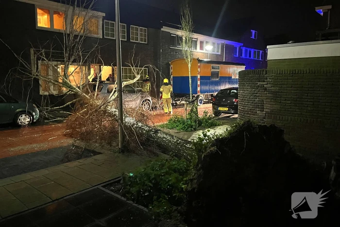 Boom valt op geparkeerde auto door sterke wind