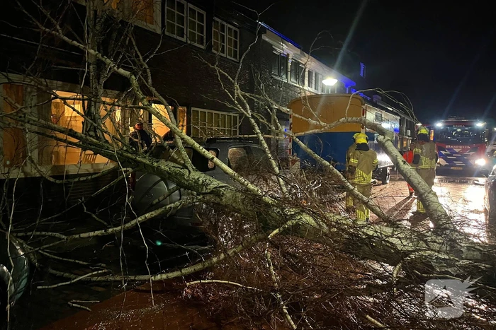 Boom valt op geparkeerde auto door sterke wind