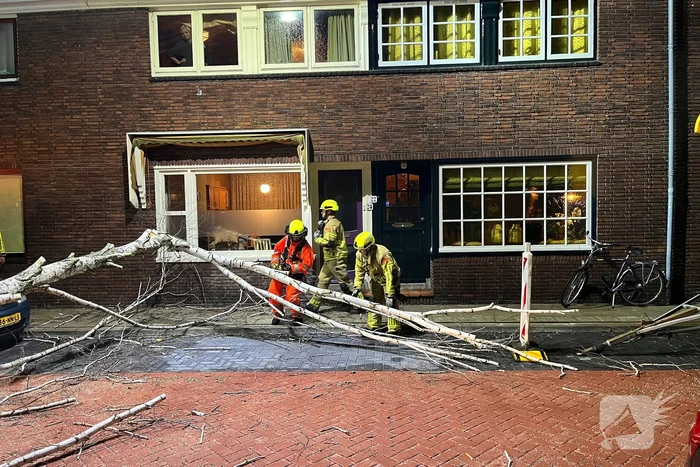 Boom valt op geparkeerde auto door sterke wind