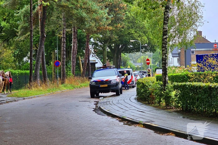 Politie massaal op zoek naar vermiste jongen