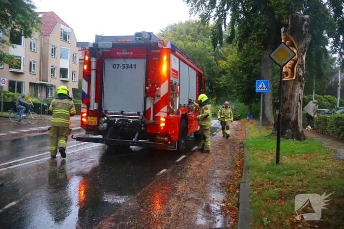 Brandweer verwijdert afgebroken tak van wegdek