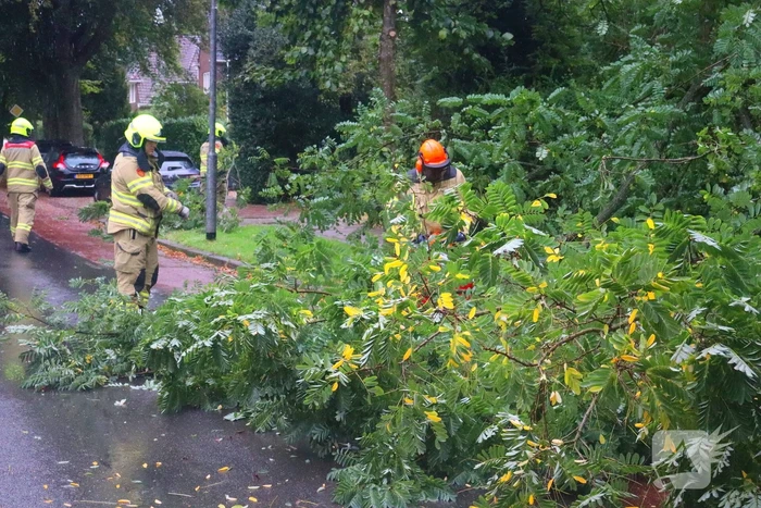 Brandweer verwijdert afgebroken tak van wegdek