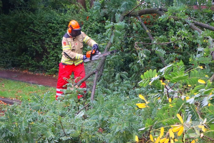 Brandweer verwijdert afgebroken tak van wegdek