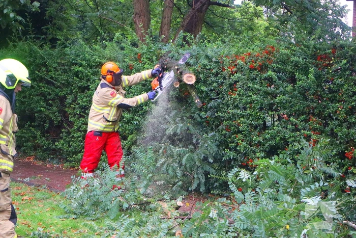 Brandweer verwijdert afgebroken tak van wegdek