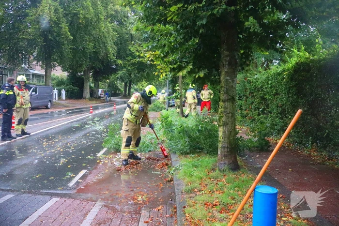 Brandweer verwijdert afgebroken tak van wegdek