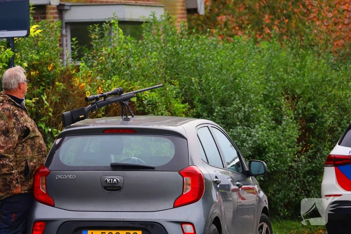 Vrouw aangevallen door stier