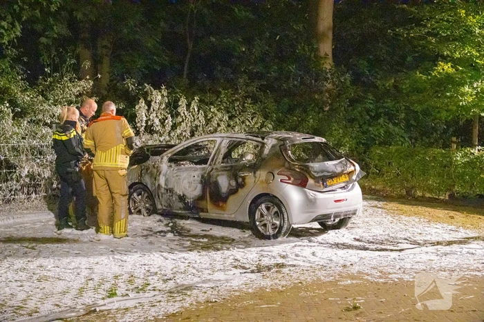Geparkeerde auto verwoest door brand