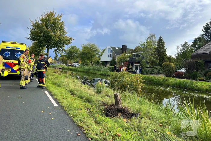 Bestuurster ramt boom en belandt in sloot
