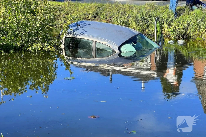 Bestuurster ramt boom en belandt in sloot