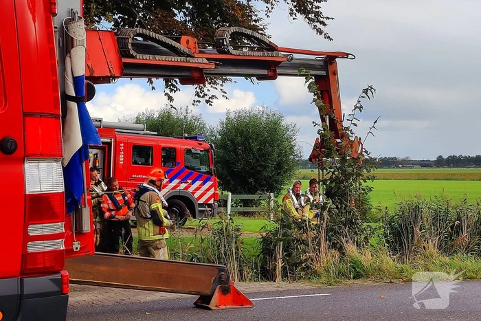 Brandweer haalt met man en macht koppig paard uit sloot
