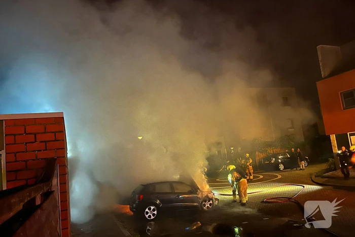 Twee auto's volledig uitgebrand