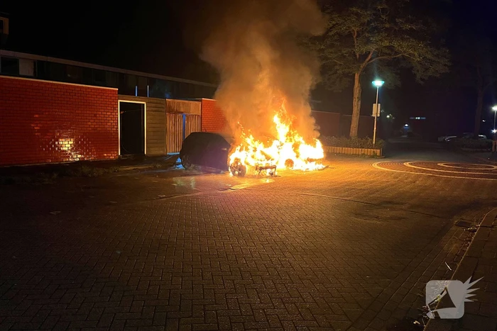 Twee auto's volledig uitgebrand