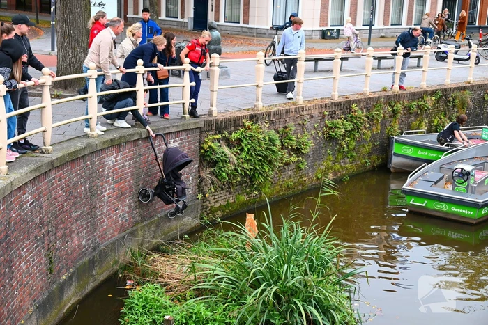 Kat gered die te water raakt