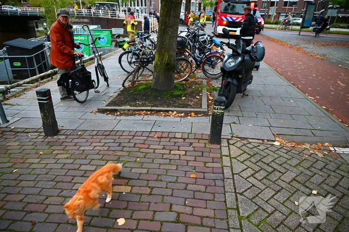Kat gered die te water raakt