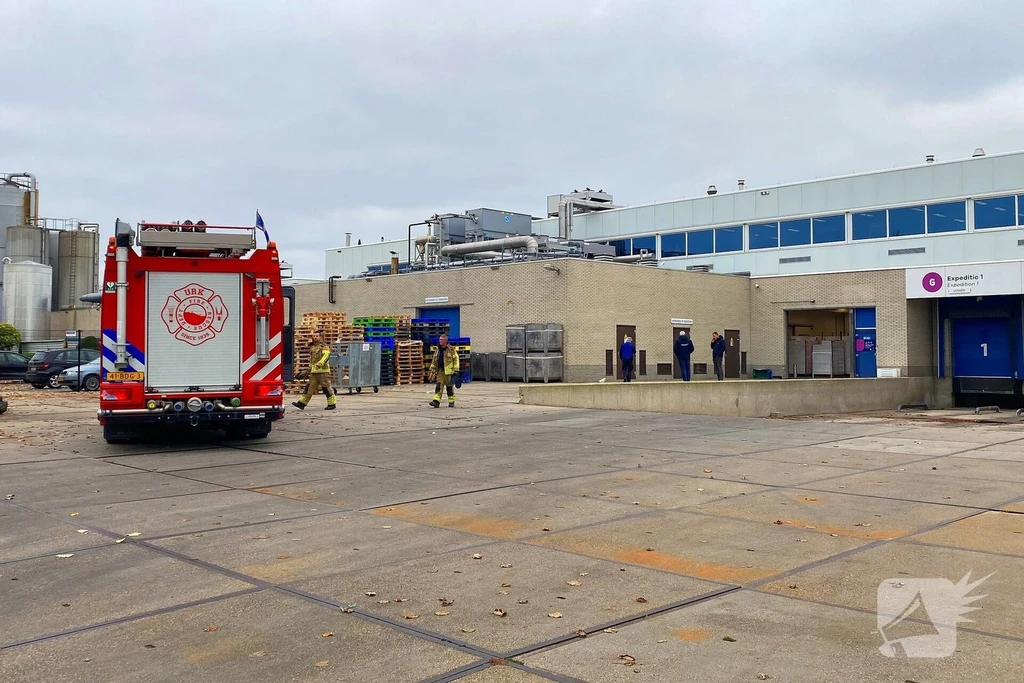 Noordgat Nieuws Urk 