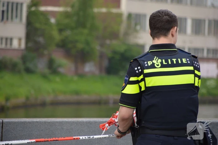 nieuws kwikstaart sint-oedenrode
