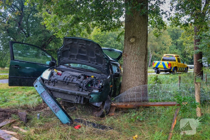 Bestuurder zwaargewond bij botsing tegen boom