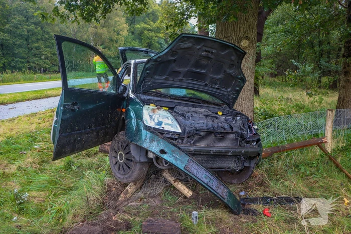 Bestuurder zwaargewond bij botsing tegen boom