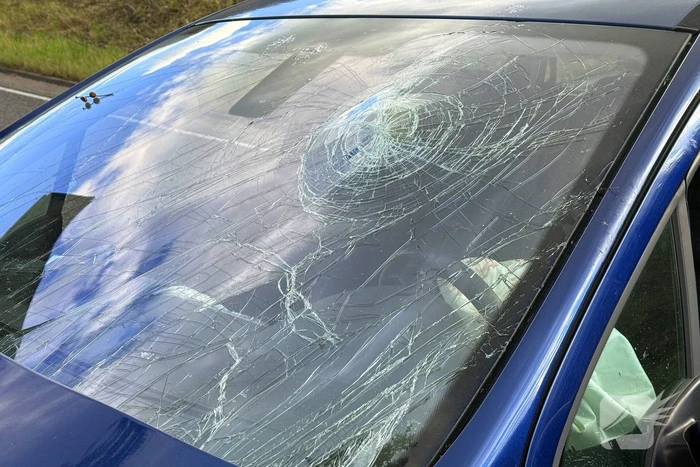 Auto krijgt klapband, bestuurder verliest macht over stuur en klapt op boom