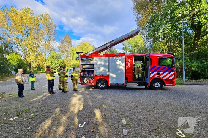 Brandweer assisteert dierenambulance bij kat in boom