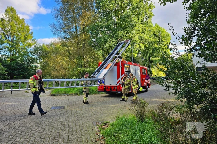 Brandweer assisteert dierenambulance bij kat in boom