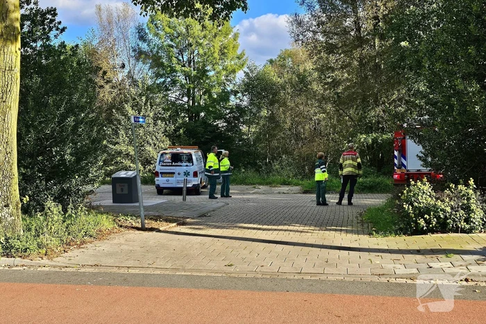 Brandweer assisteert dierenambulance bij kat in boom
