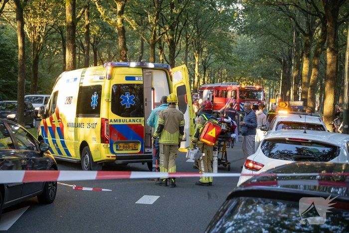 Enorme ravage nadat bus tegen boom rijd, één persoon aangehouden