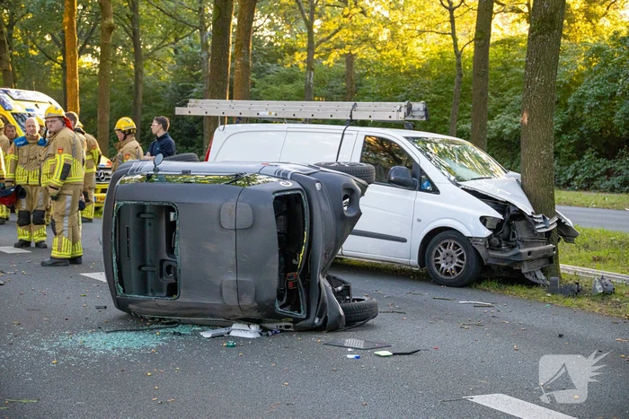 Enorme ravage nadat bus tegen boom rijd, één persoon aangehouden