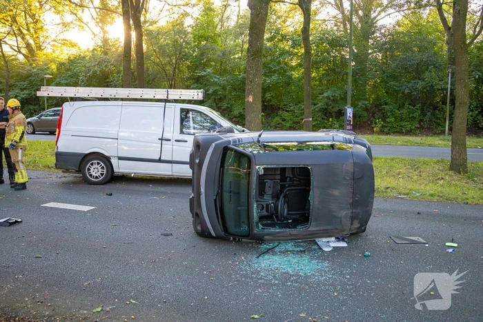 Enorme ravage nadat bus tegen boom rijd, één persoon aangehouden