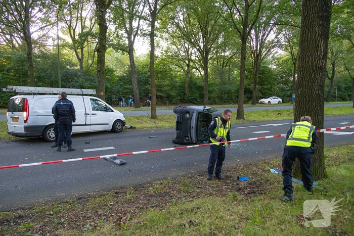 Enorme ravage nadat bus tegen boom rijd, één persoon aangehouden