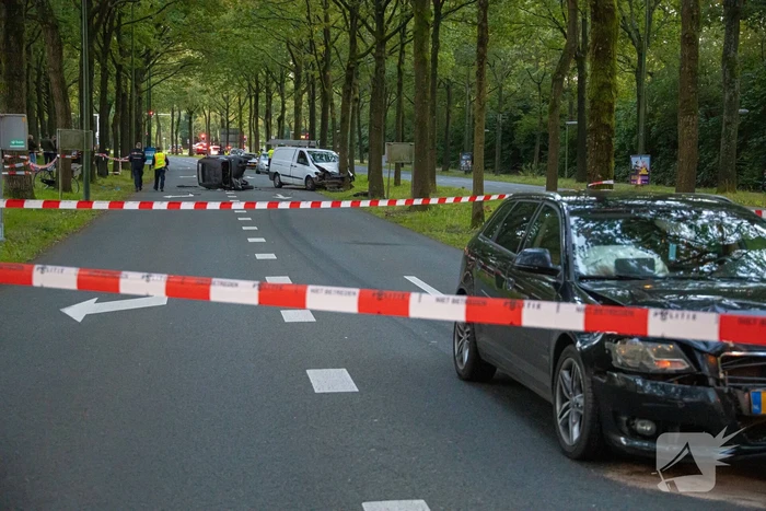 Enorme ravage nadat bus tegen boom rijd, één persoon aangehouden