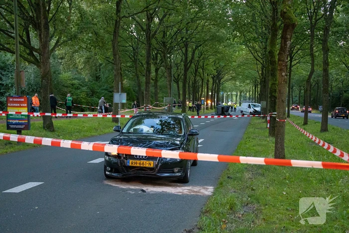 Enorme ravage nadat bus tegen boom rijd, één persoon aangehouden