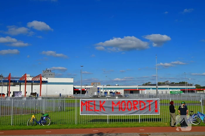 Demonstranten klimmen over hekken van zuivel fabrikant