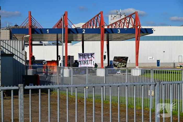 Demonstranten klimmen over hekken van zuivel fabrikant