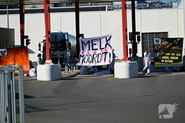 Demonstranten klimmen over hekken van zuivel fabrikant