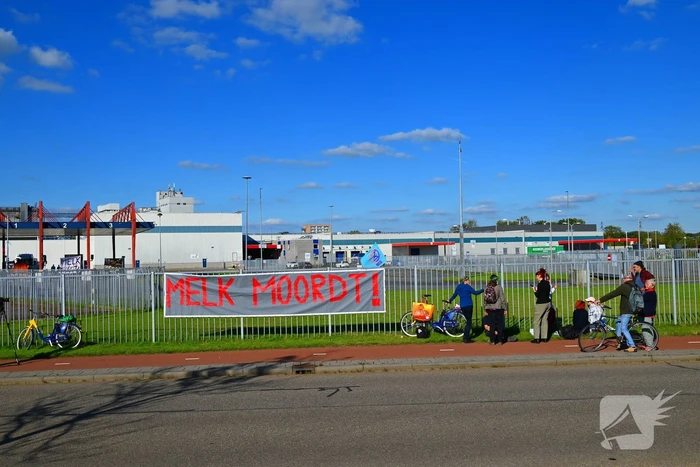 Demonstranten klimmen over hekken van zuivel fabrikant