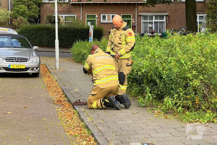 Veel rookontwikkeling bij brand in ondergrondse container