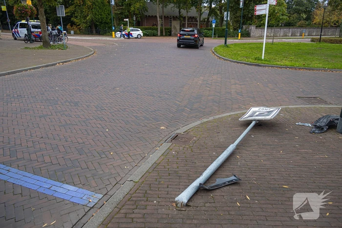 Automobilist ramt verkeersbord en lantaarnpaal