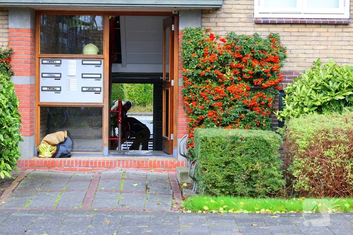 Gesprongen waterleiding zorgt voor overlast