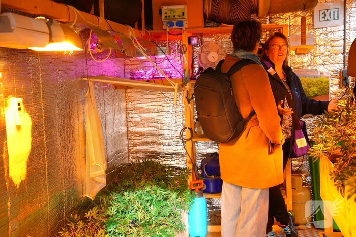Kijkje in hennepkwekerij op de weekmarkt