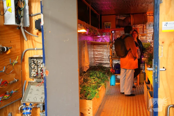 Kijkje in hennepkwekerij op de weekmarkt