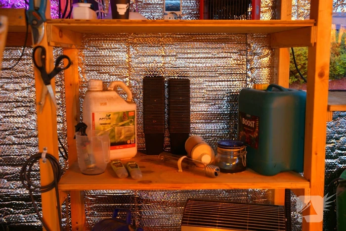 Kijkje in hennepkwekerij op de weekmarkt