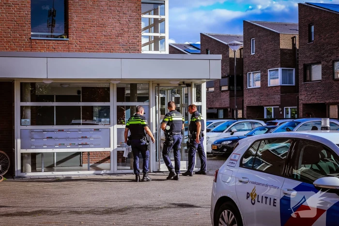 Vrouw aangehouden na steekpartij