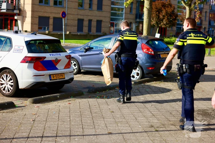 Vrouw aangehouden na steekpartij