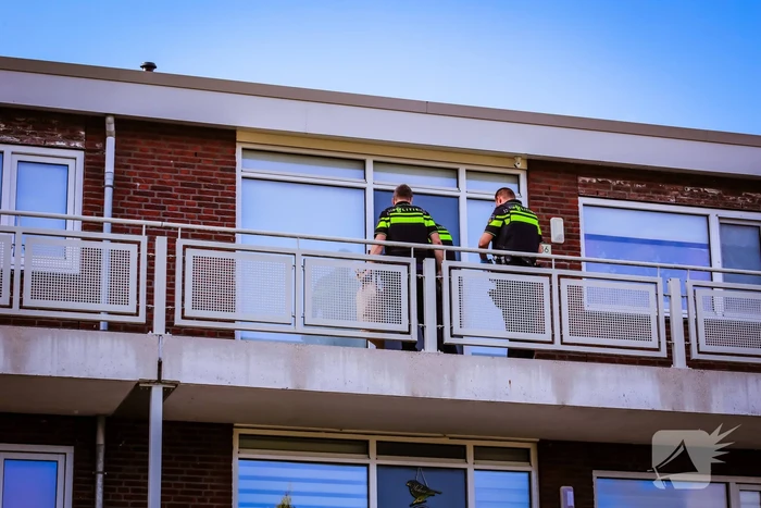 Vrouw aangehouden na steekpartij