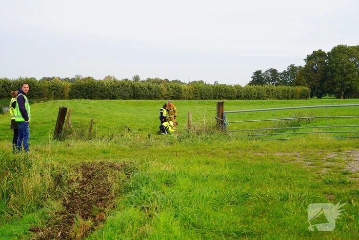 Bestuurder komt zonder kleerscheuren van crash af
